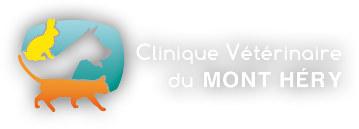 Logo Clinique Vétérinaire Du Mont Héry